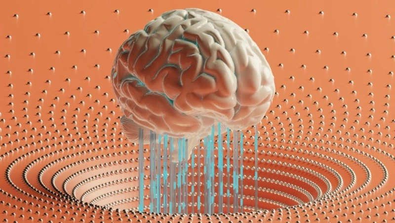 Тест на IQ: в мире нет человека умнее вас, если наберете 10/10