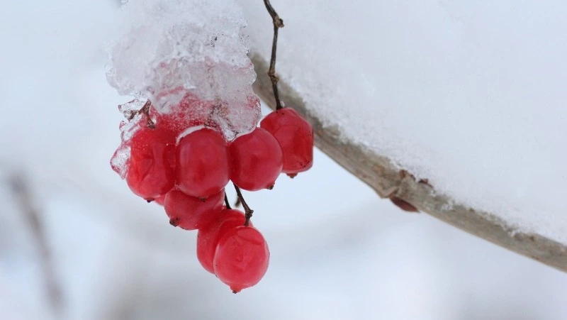 Народный и церковный праздник 4 марта 2024 года — что нельзя делать в этот день
