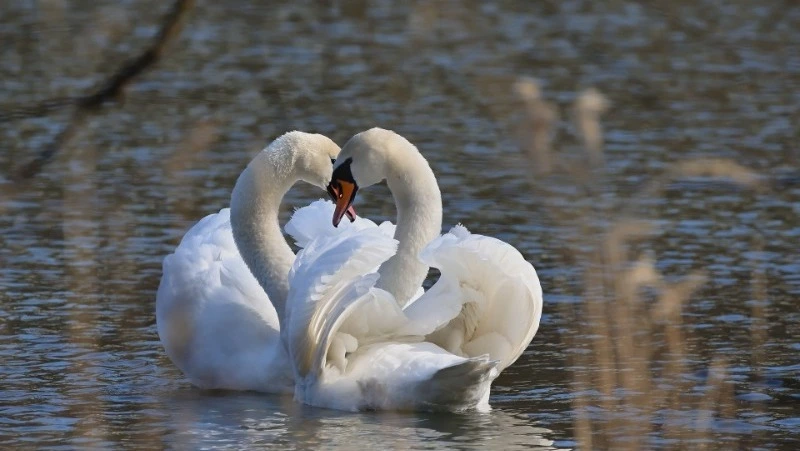 Народные приметы на 31 марта 2024 года — что нельзя делать в этот день