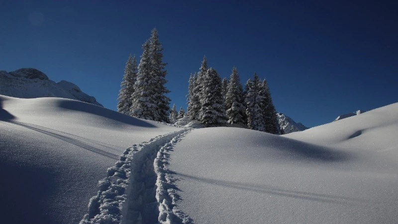 Церковный праздник 16 января 2024 года: что нельзя делать в этот день