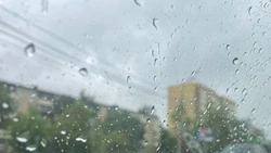 Синоптики пообещали небольшой дождь и тепло в Сахалинской области 26 июля