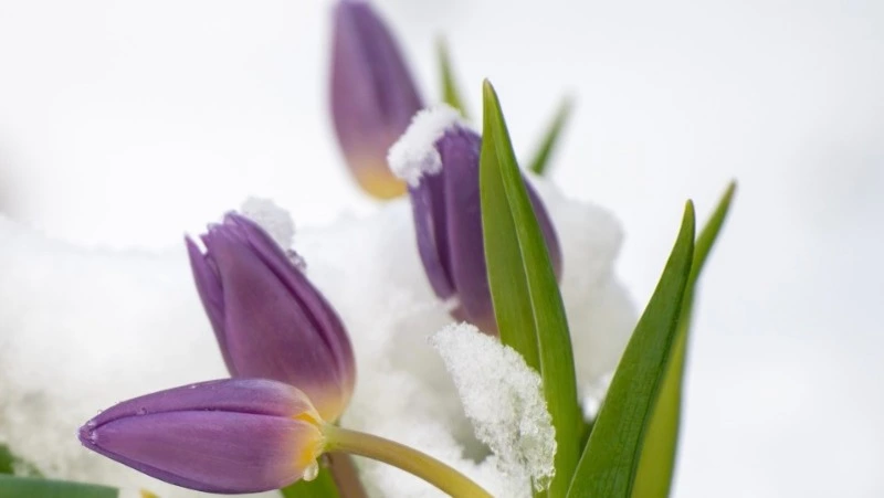 Народные приметы на 30 марта 2024 года — что нельзя делать в этот день