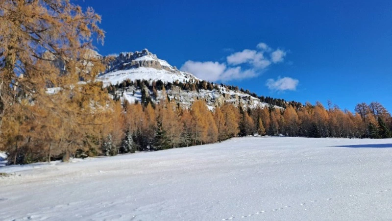 Синоптики озвучили прогноз погоды в Сахалинской области на 21 марта