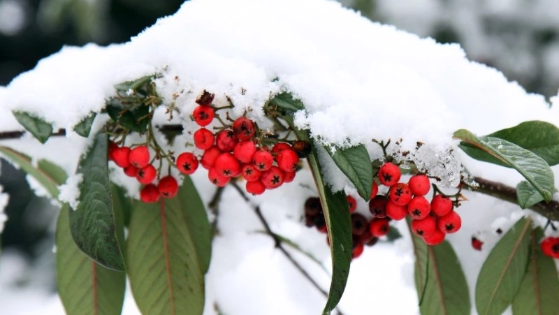 Церковный праздник 10 января 2024 года: что нельзя делать в этот день