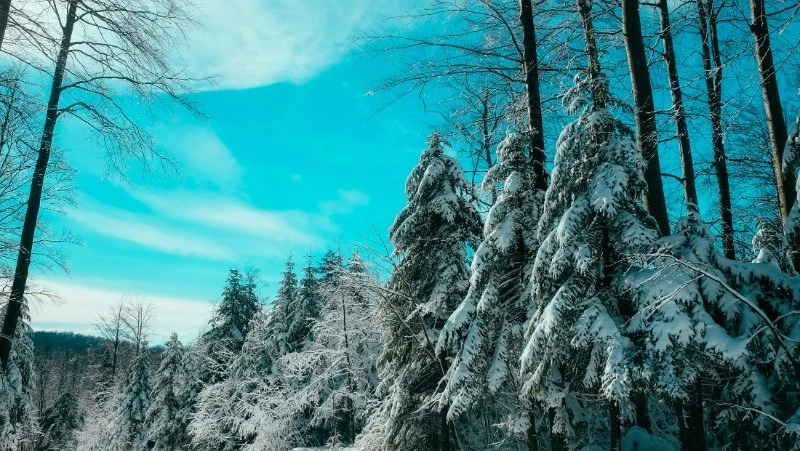 Церковный праздник 21 февраля 2024 года: что нельзя делать в этот день