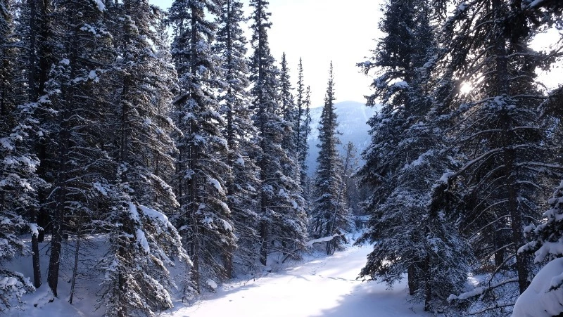 Церковный праздник 13 февраля 2024 года: что нельзя делать в этот день