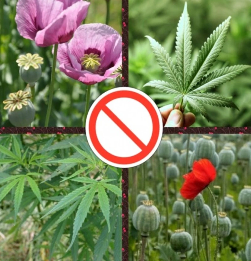 Уважаемый землепользователь!