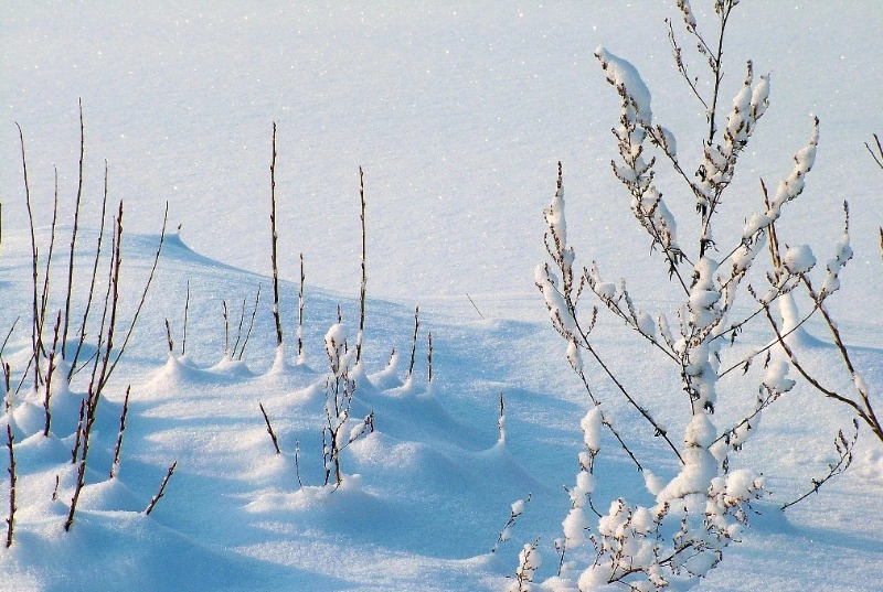Ветер и снег ожидаются в Сахалинской области 21 декабря