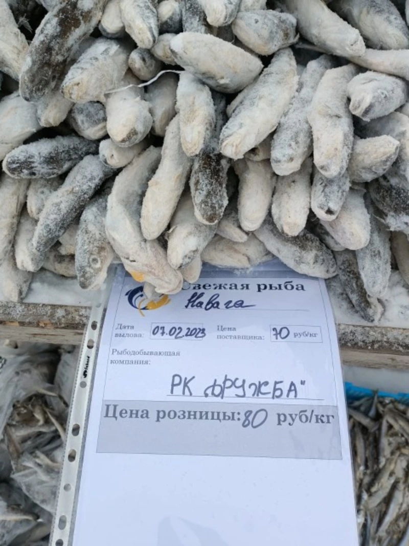 Сегодня на ярмарке!